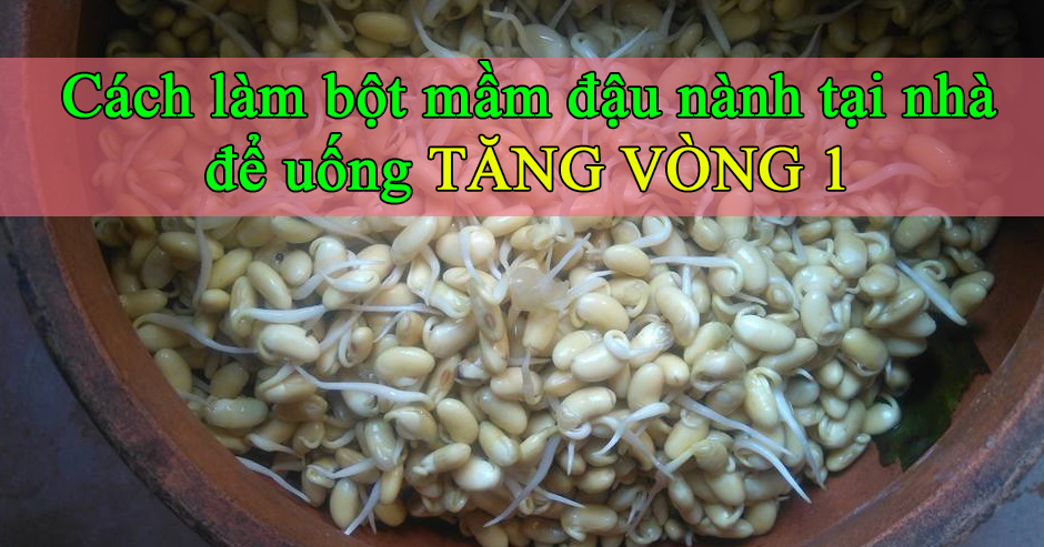 Uống bột đậu nành có tốt không? Công dụng tuyệt vời của đậu nành